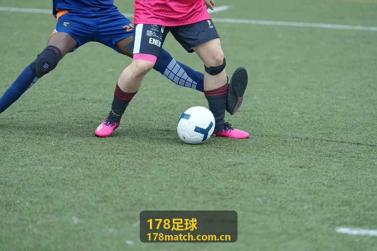 178足球球队数据报告专题